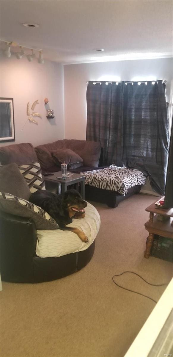 view of carpeted living area