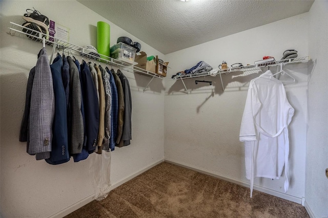 spacious closet with carpet floors
