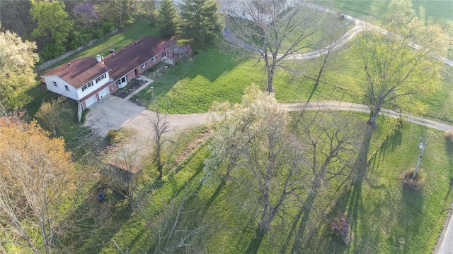 bird's eye view