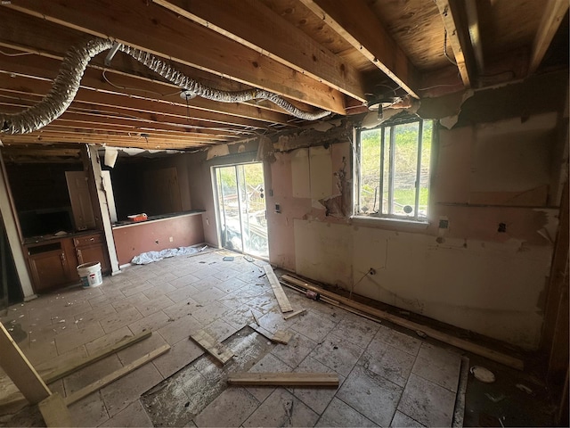 miscellaneous room with a wealth of natural light