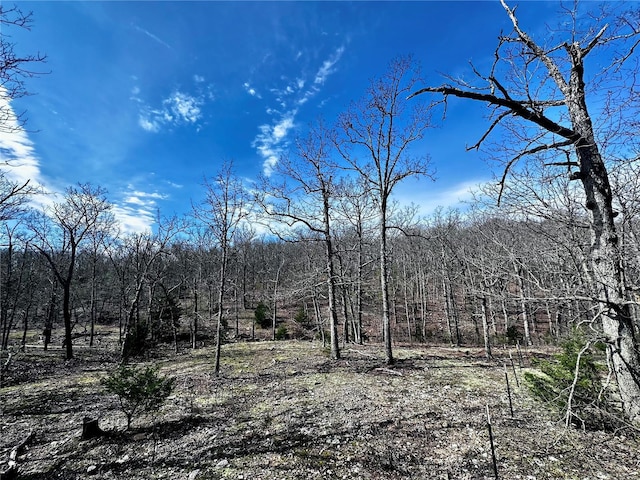view of nature with a wooded view