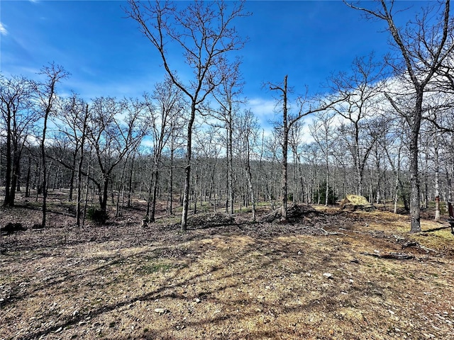 view of local wilderness with a wooded view