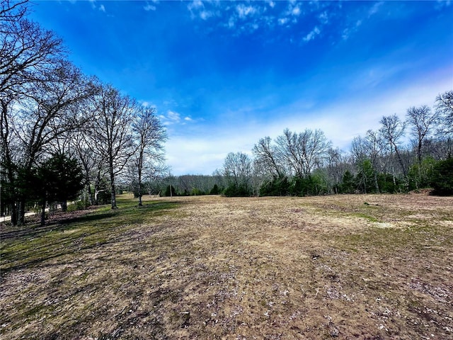 view of yard with a rural view