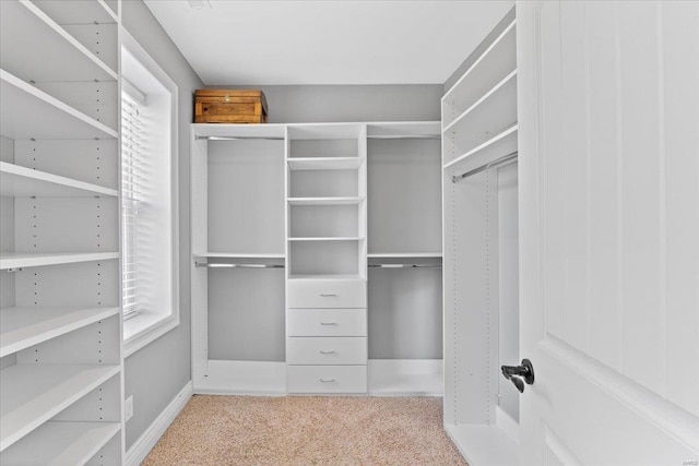 walk in closet featuring carpet