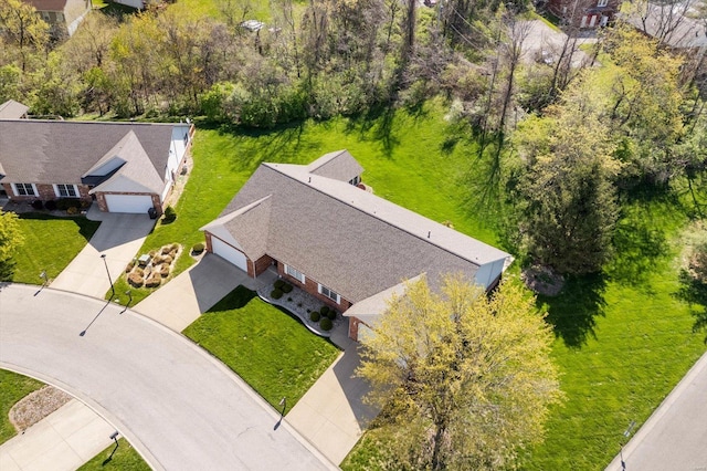 drone / aerial view