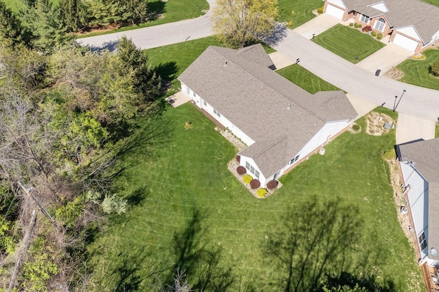 drone / aerial view