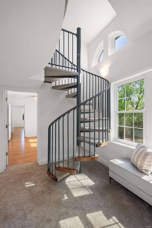 stairs with baseboards, carpet, a high ceiling, and a healthy amount of sunlight