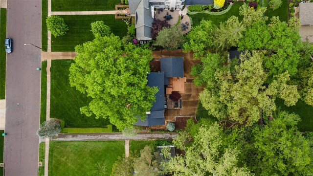 bird's eye view