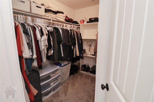 walk in closet featuring carpet flooring