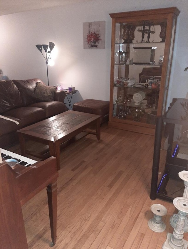 living area featuring wood finished floors