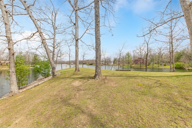 view of yard with a water view