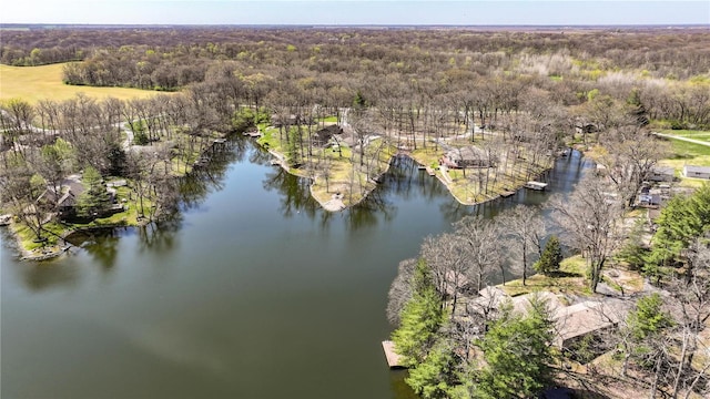 bird's eye view with a forest view and a water view