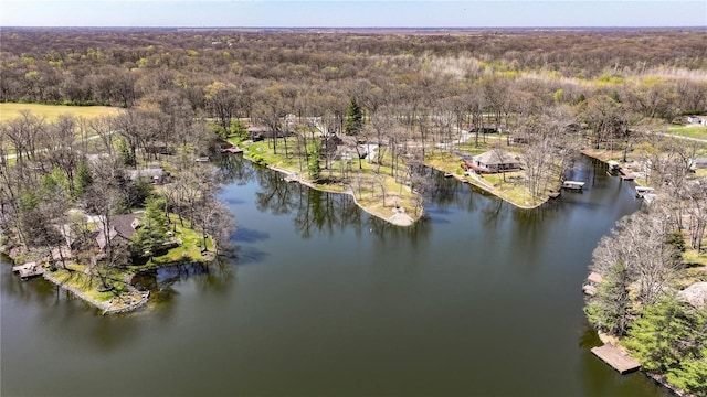 drone / aerial view with a wooded view and a water view