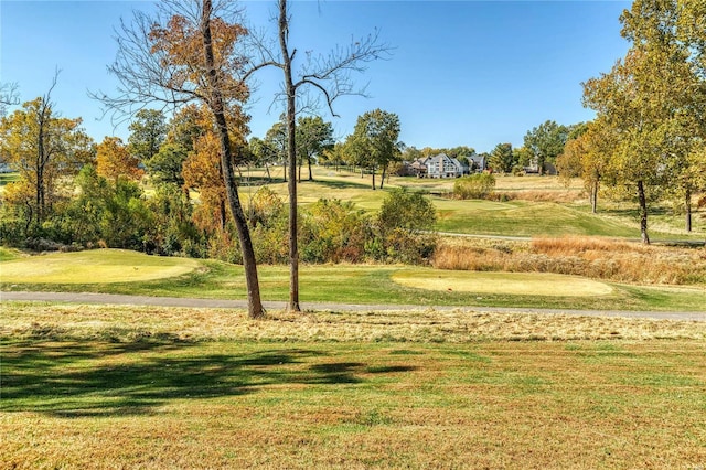 surrounding community featuring a yard