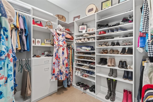 spacious closet featuring carpet flooring
