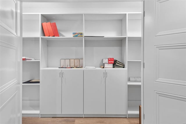 walk in closet featuring light wood-style flooring