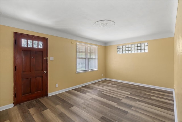 entrance foyer featuring baseboards, wood finished floors, and a wealth of natural light