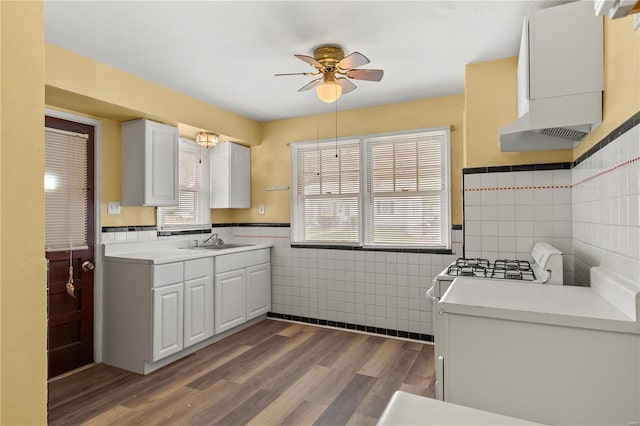 kitchen with wainscoting, tile walls, ceiling fan, dark wood-type flooring, and a sink