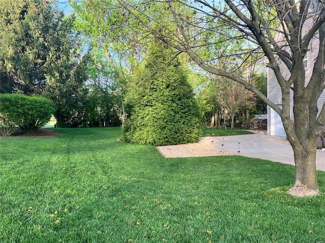 view of yard featuring a garage and driveway