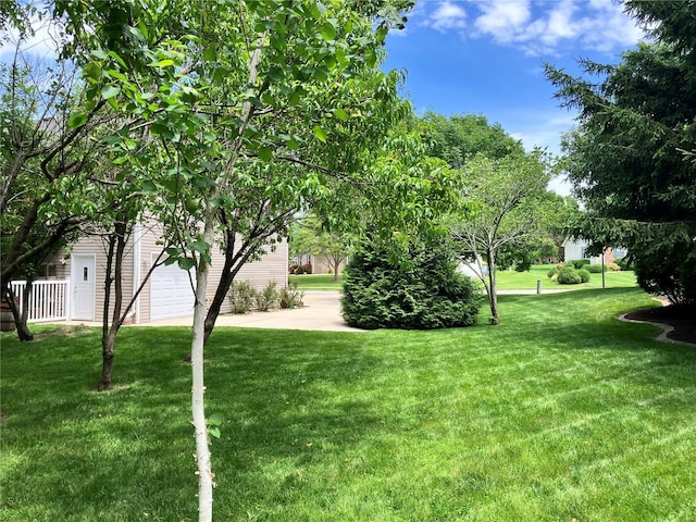 view of yard featuring a garage and concrete driveway