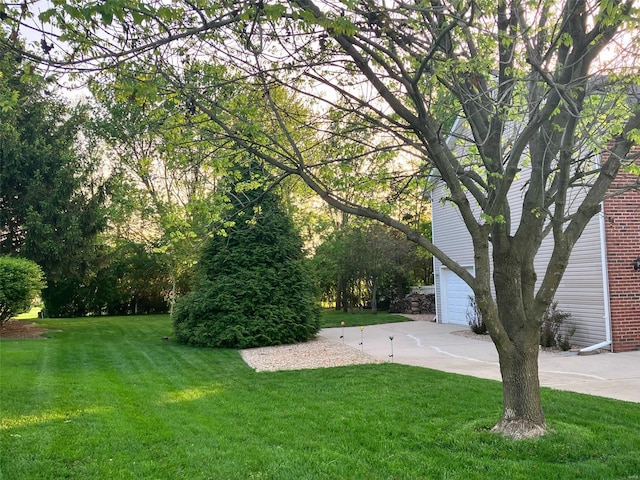 view of yard featuring a garage and concrete driveway