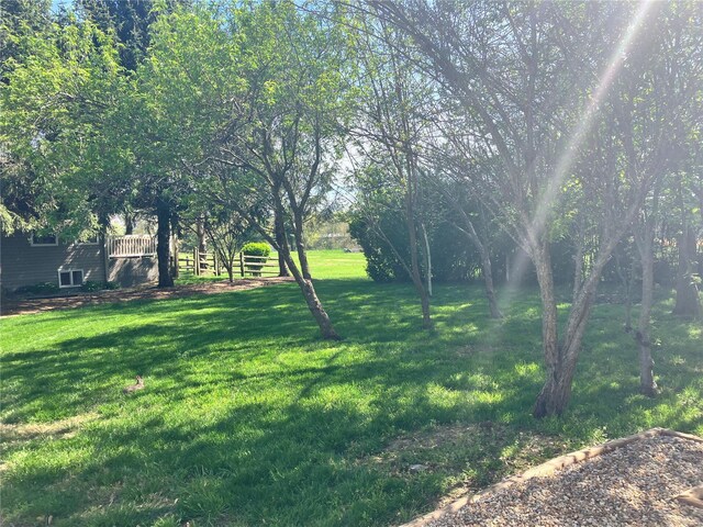 view of yard