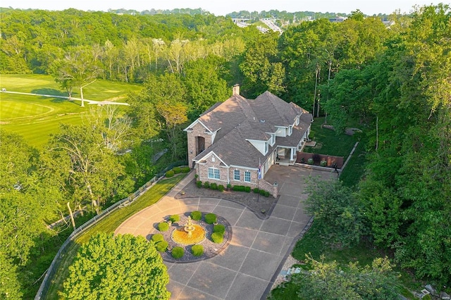 bird's eye view