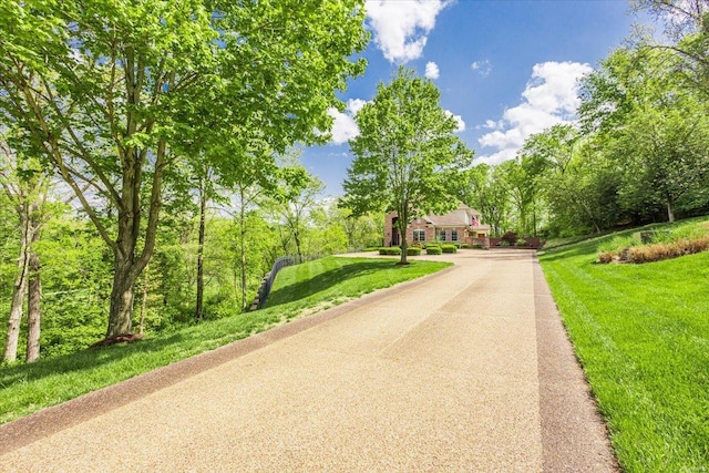 view of road with aphalt driveway