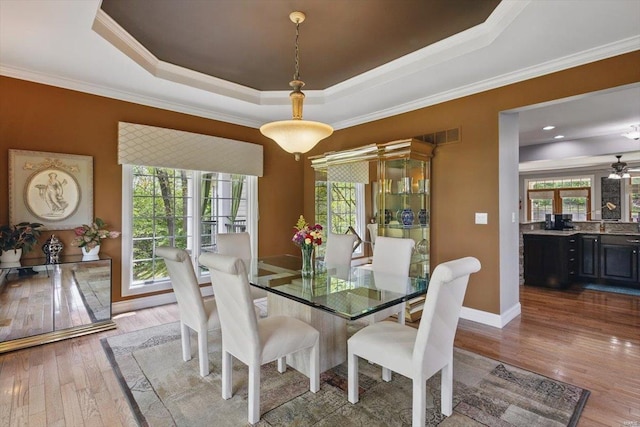 dining room featuring crown molding, a wealth of natural light, a raised ceiling, and wood finished floors