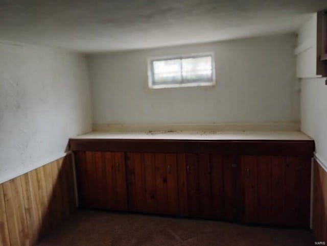 interior space featuring wood walls