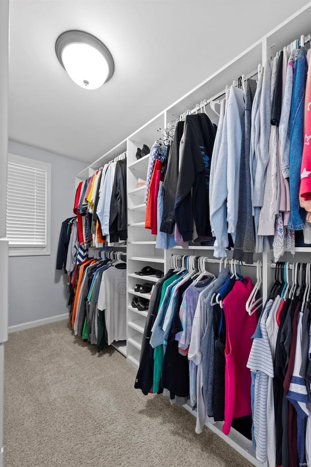 spacious closet with carpet