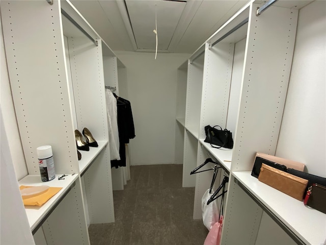 spacious closet featuring attic access and carpet flooring