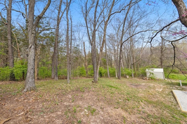 view of yard with an outbuilding, a wooded view, and a storage shed
