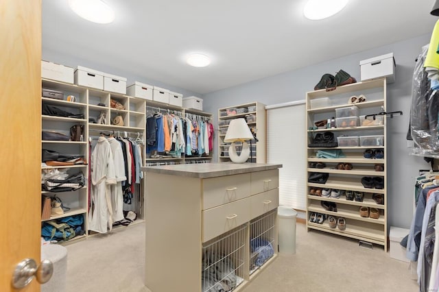 walk in closet with light carpet