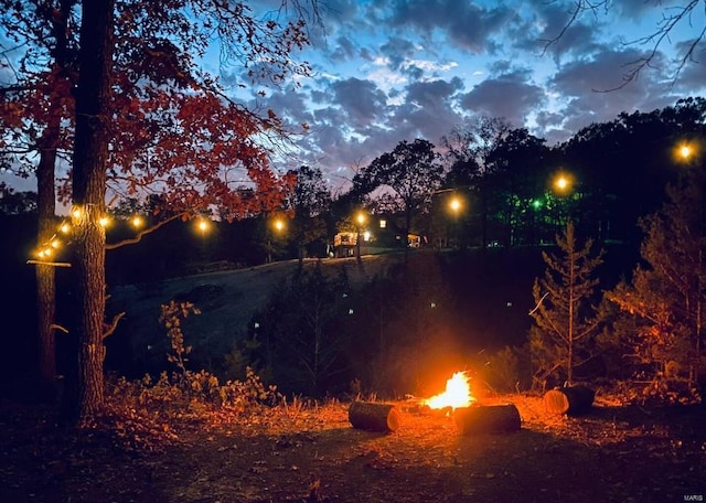 view of nature at night