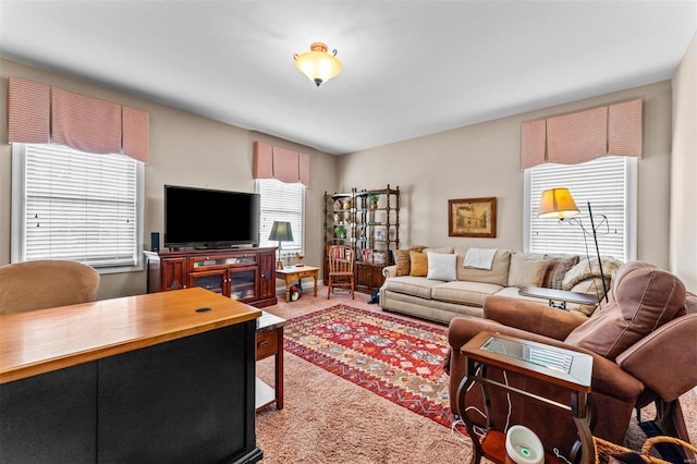 view of carpeted living area