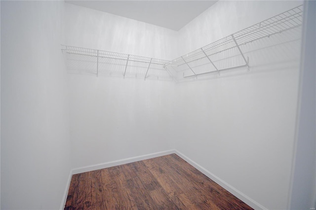 spacious closet with dark wood finished floors