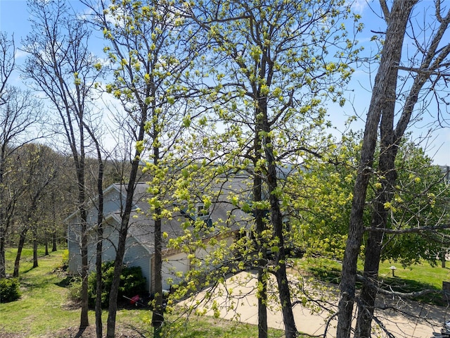 property view of water featuring a wooded view