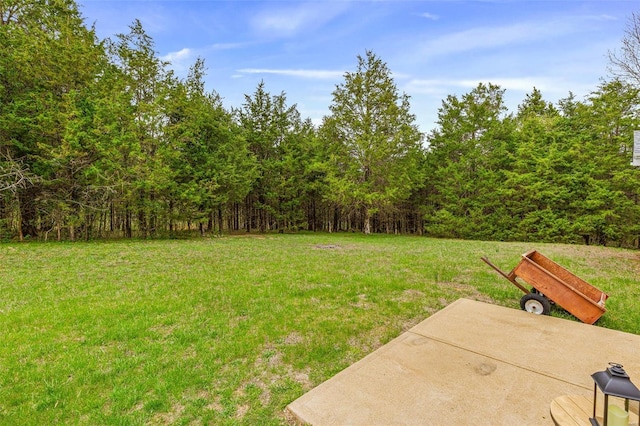 view of yard with a wooded view and a patio