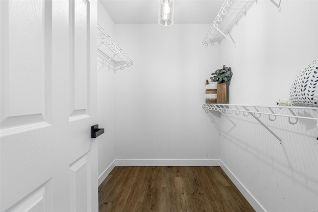 spacious closet with dark wood-type flooring