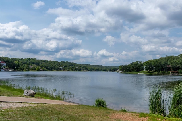view of water feature featuring a view of trees