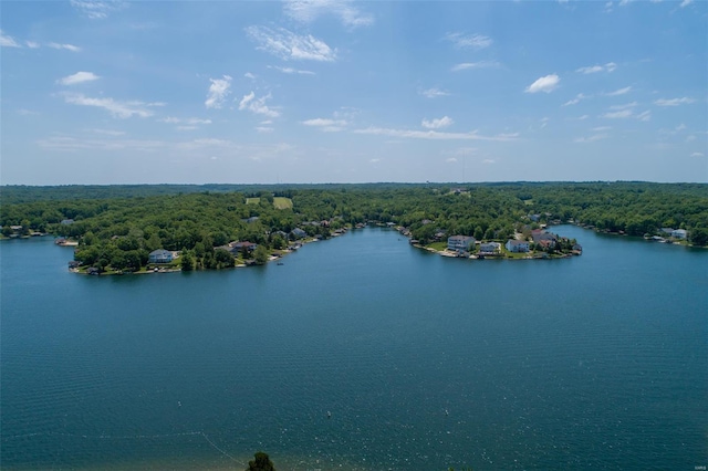drone / aerial view with a view of trees and a water view