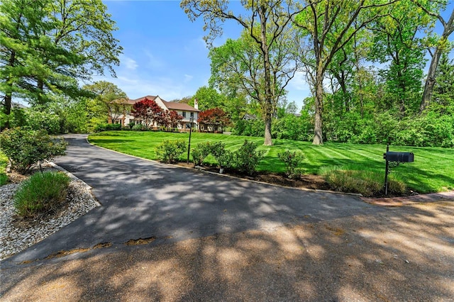 surrounding community featuring a yard