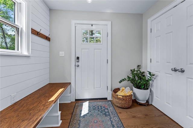 mudroom featuring dark wood finished floors