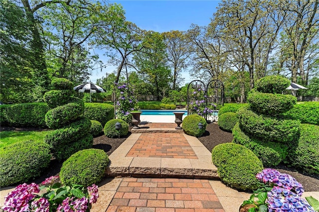 view of patio with an outdoor pool