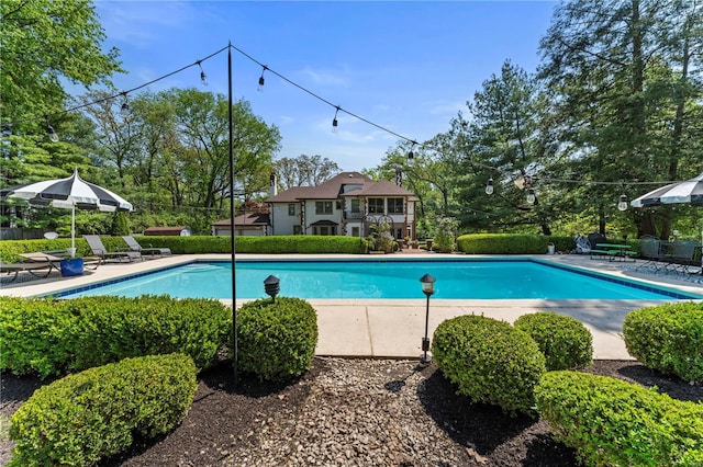 pool featuring a patio