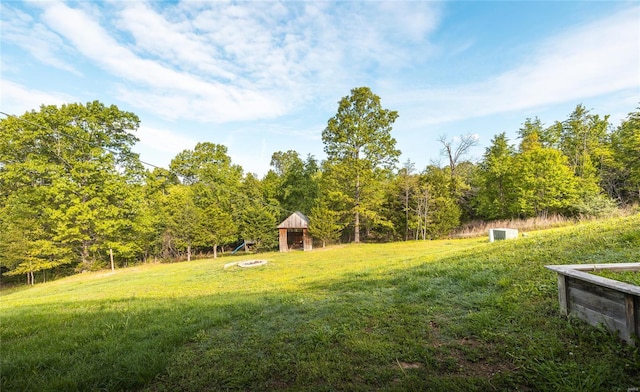 view of yard featuring a wooded view