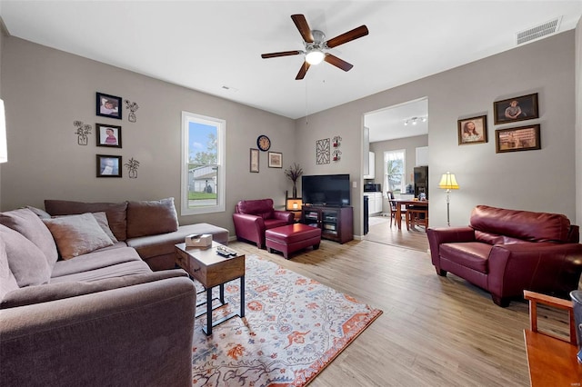 living area featuring a ceiling fan, visible vents, and light wood-style flooring