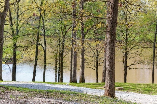 property view of water with a wooded view
