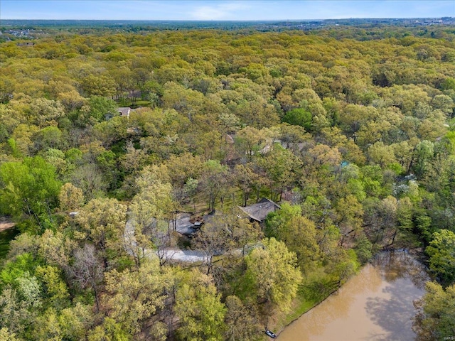 bird's eye view with a forest view